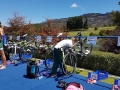 Elites Transition check in 2