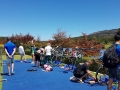 Elites transition check in 1